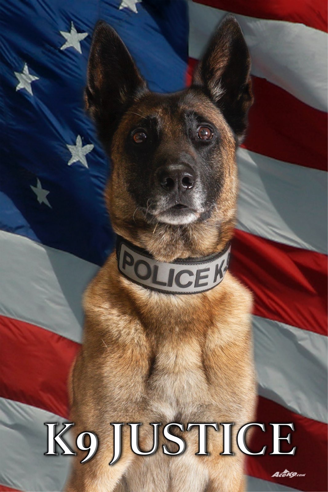 K9 Justice